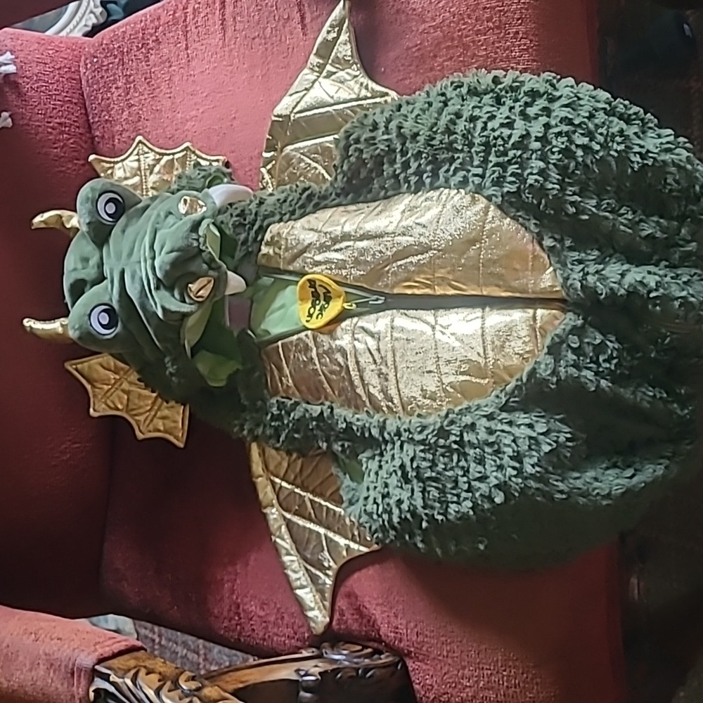 Majestic Green and Gold Dragon Costume for Kids
